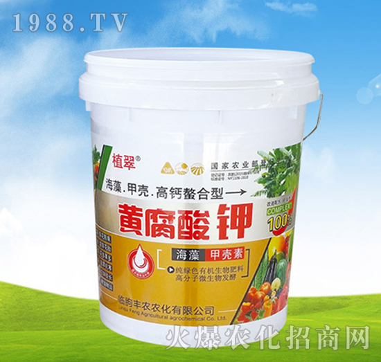 �S�����-ֲ��-�S�r�r��