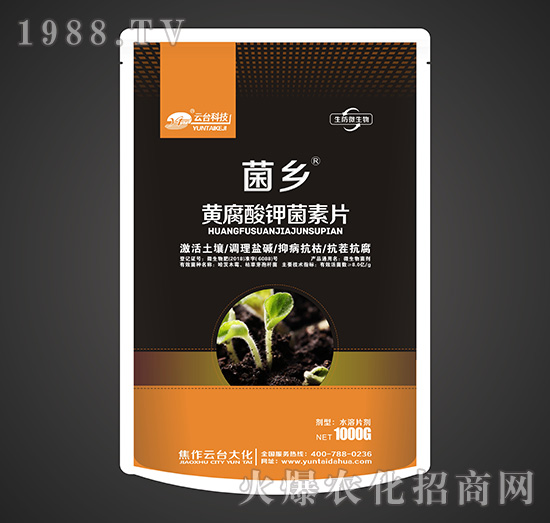 �S����⛾���Ƭ-���l(xi��ng)-���_(t��i)��