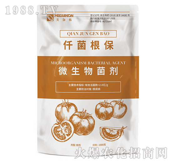 ΢�������-Ǫ������-��٤�z