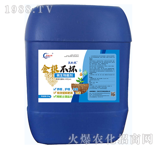 ΢�������-�������-�S�T�ʘI(y��)