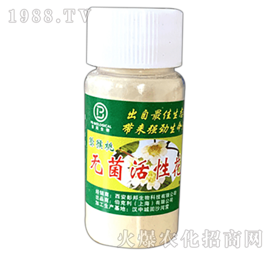 �J���ҟo�����Լ���-��������