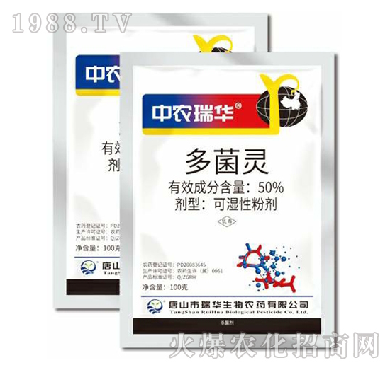 50%����`-���A����