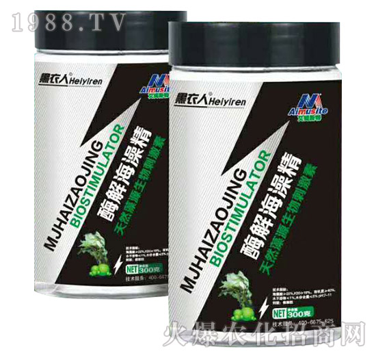 ø�⺣�徫-������-��ķ˹��