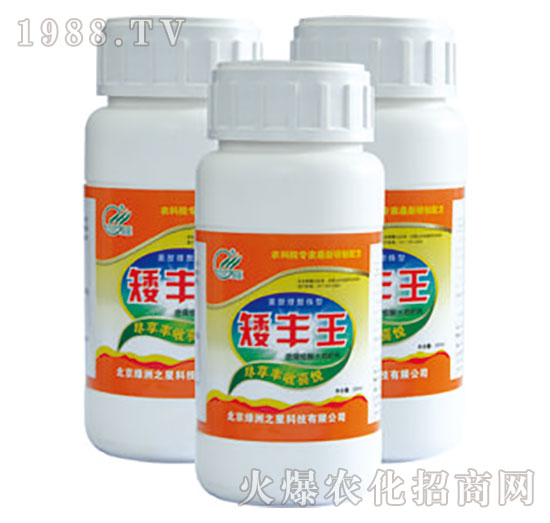 ���S��-�G��֮��