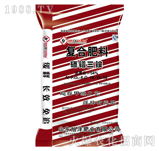 �ͺϷ���������@-����