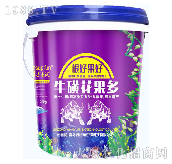 ���ǻ�����-�@��Ԫ