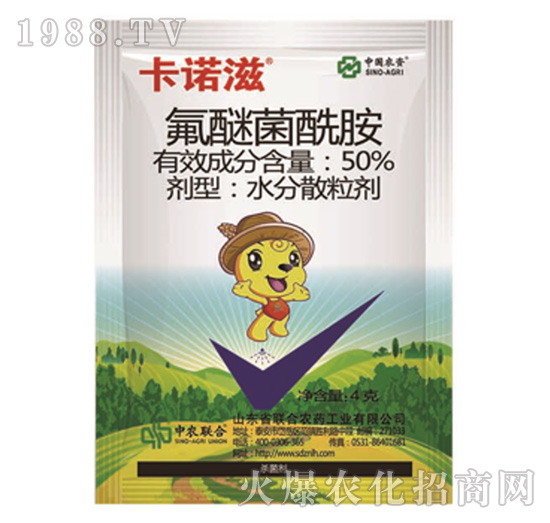 50%���Ѿ�����-���Z��-���r(li��n)��