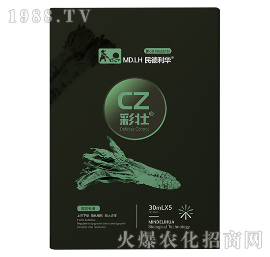 �n�Č���-�ʉ�-������A