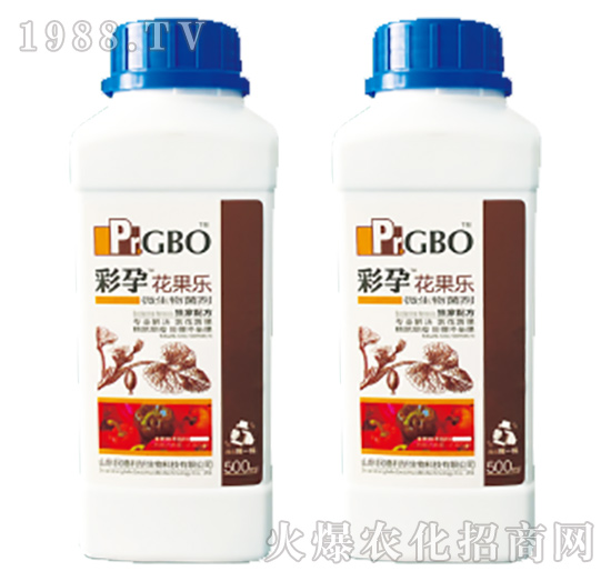 ���������_ʩ��΢�������-������(l��)-����-������A