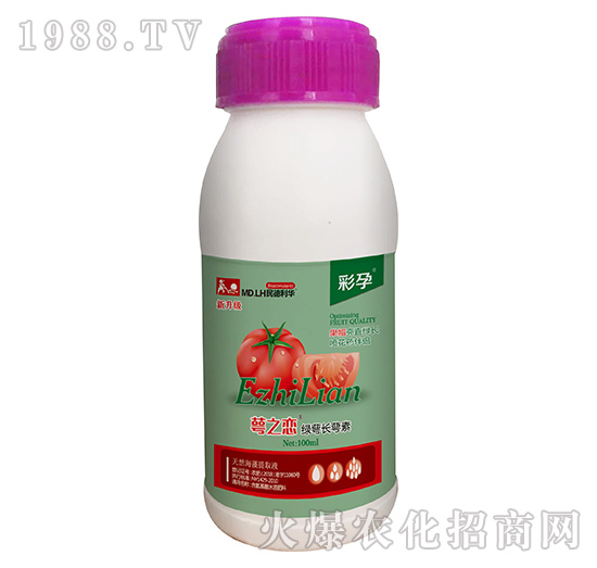 �G���L����-��֮��-����-������A