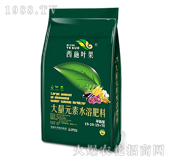平衡型大量元素水溶肥料19-19-19+TE-葉果生物