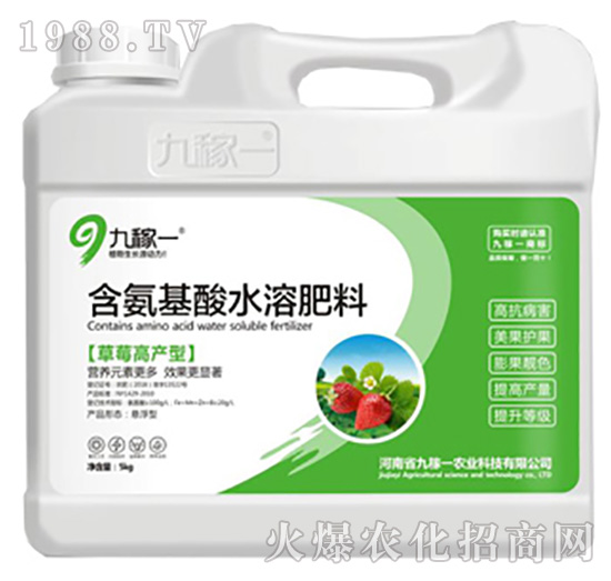 草莓高產(chǎn)型含氨基酸水溶肥料-九稼一