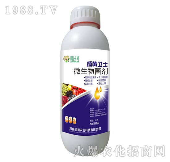 ΢�������-���S�l(w��i)ʿ-��ֲ