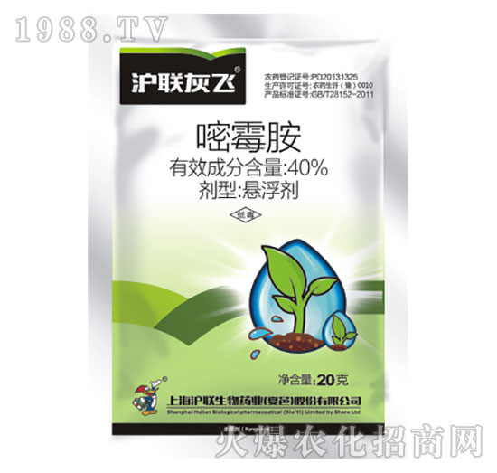 40%��ù��-��(li��n)���w-��(li��n)