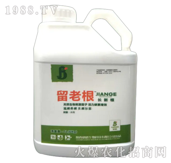 ���ϸ�-��������