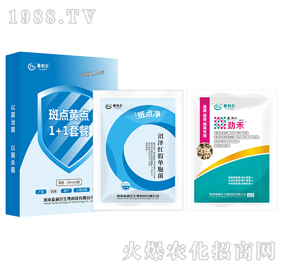 ���c(di��n)�S�c(di��n)1+1�ײ�-̩����