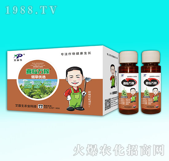 ���݃�(y��u)�x-ϲ�R�f(w��n)��-������