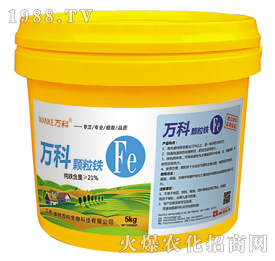 �w���F-�f��