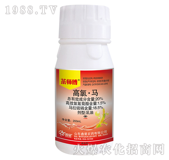 20%���ȡ��R-�莟��-����