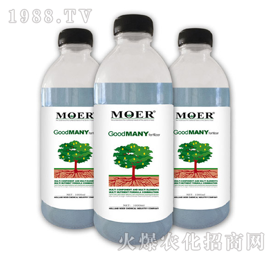 �Ì�(sh��)��-Ħ������