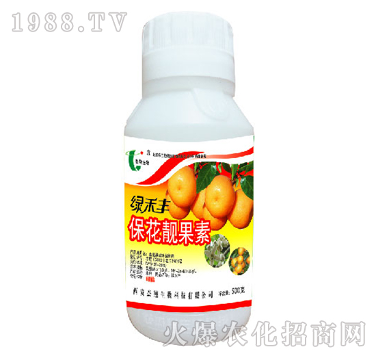 �����n����-�G���S-��������