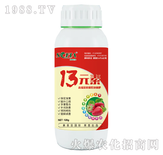 13Ԫ��-���Ɓ�