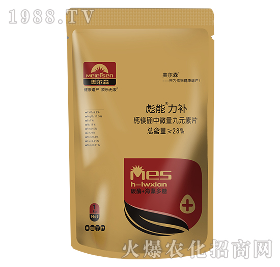 �}�V����΢����Ԫ��Ƭ-�������a(b��)-����ɭ