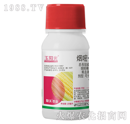 120�������������݄�-���(y��ng)��-(li��n)���r(n��ng)�I(y��)