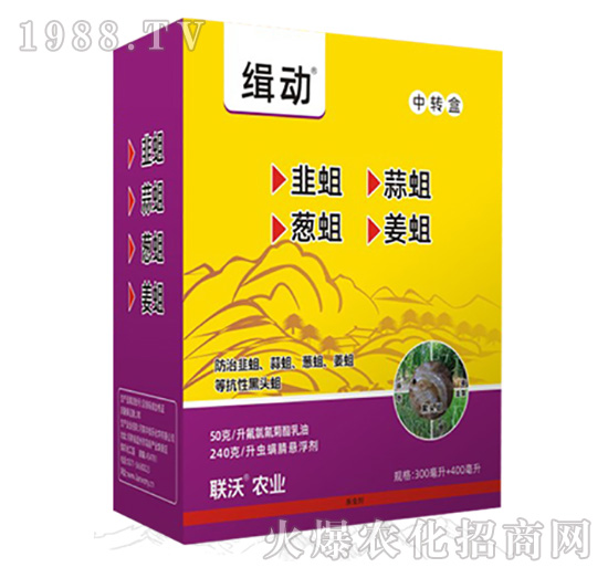 ����1+1�M�����b-(li��n)���r(n��ng)�I(y��)