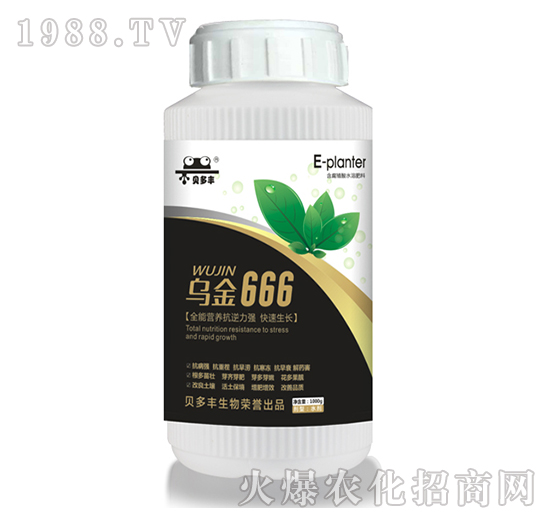 ����666-ؐ���S