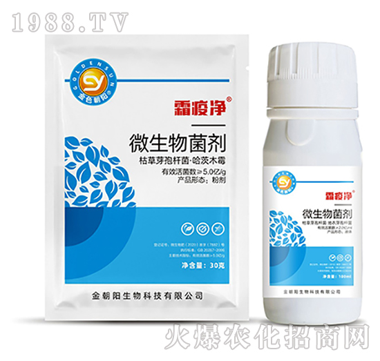 ΢�������-˪�߃�-���