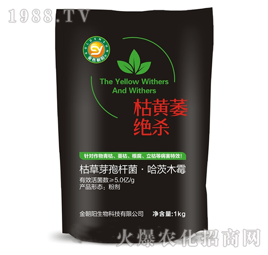 ���Sή�^��-���