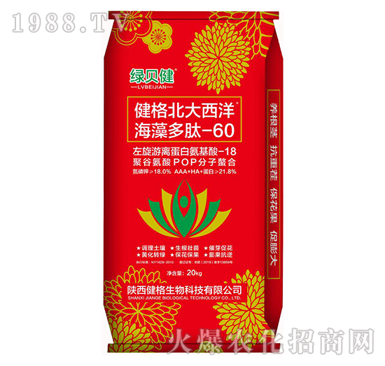 健格北大西洋海藻多肽-60-綠貝健-健格生物