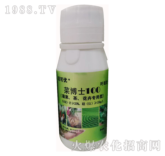 �˲�ʿ100���߲����衢���܌��ã�-���Ƀ�(y��u)-��Ɔ���