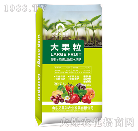 大果粒-艾美爾·芬譽