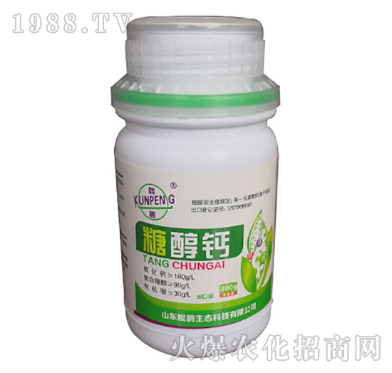 �Ǵ��}-�H�i���B(t��i)