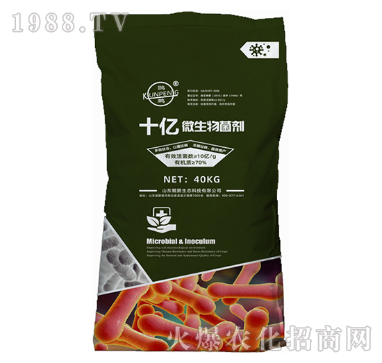 ʮ�|΢�������-�H�i���B(t��i)