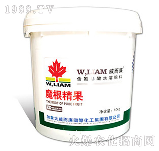 Ħ������-������