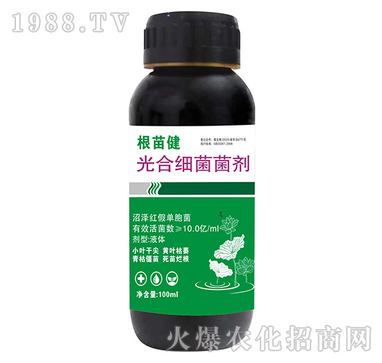 ��ϼ�������-���罡-����