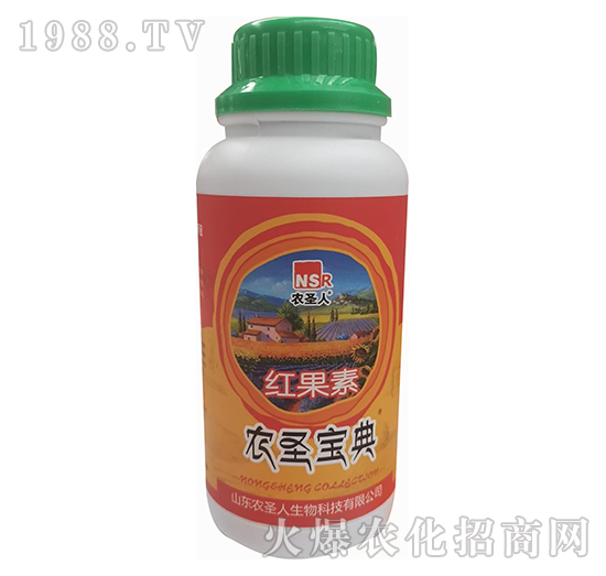 �r(n��ng)ʥ����-�t����-�r(n��ng)ʥ��