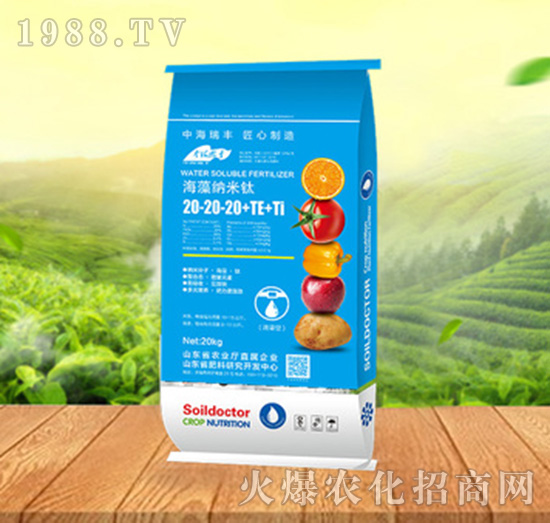 ����{����20-20-20+TE+Ti-���ԁ��