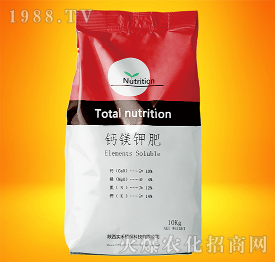 �}�V⛷�-����