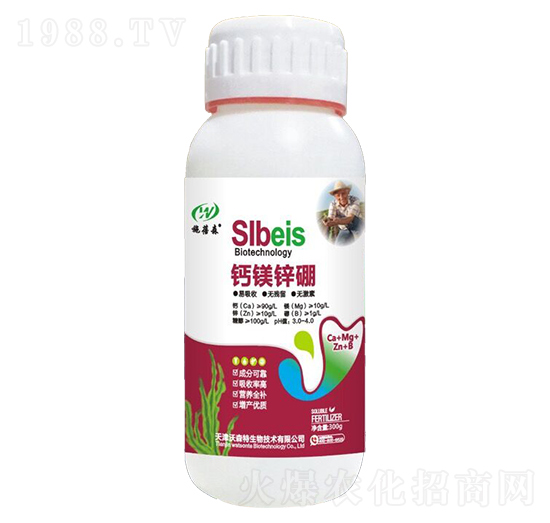 �}�V�\��-ʩ��ɭ-��ɭ��