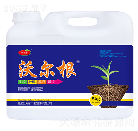 �֠���-�ּ��S�ʘI(y��)