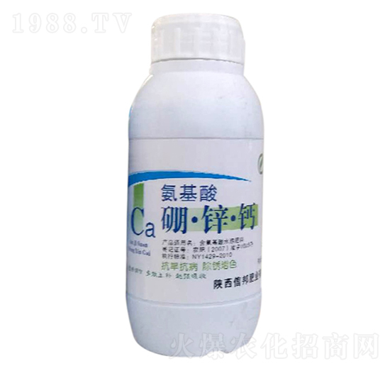 ���������\�}-�Ű�ʘI(y��)