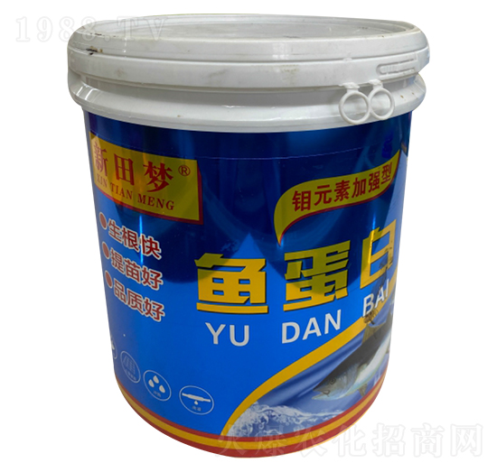 �~����-�����(m��ng)-�µ����