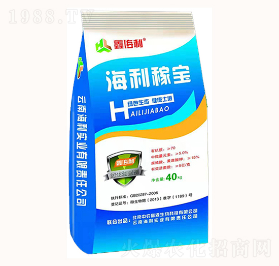 �����ڌ�-�������I(y��)