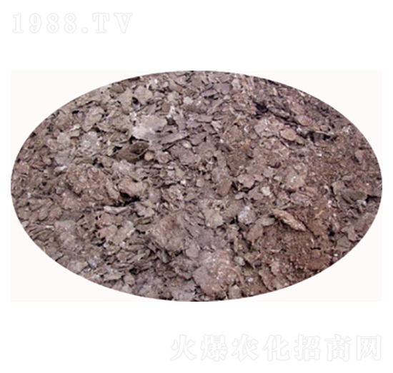 �u�S�l(f��)���ЙC��-���S����