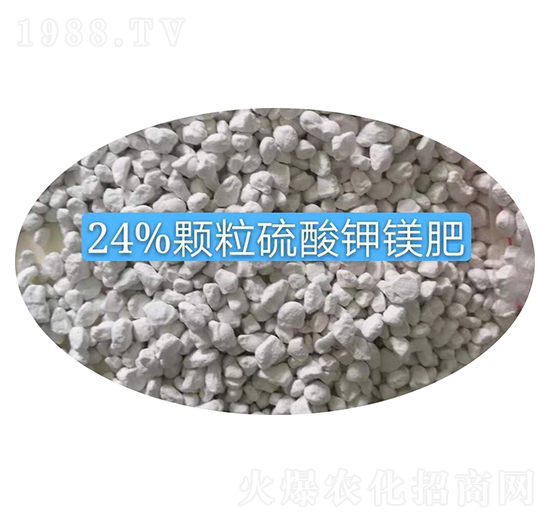 24%�w��������V�����w��-�r(n��ng)֮��