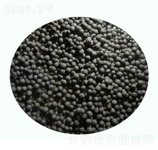 �����w��-�\(ch��ng)�T�r(n��ng)�I(y��)